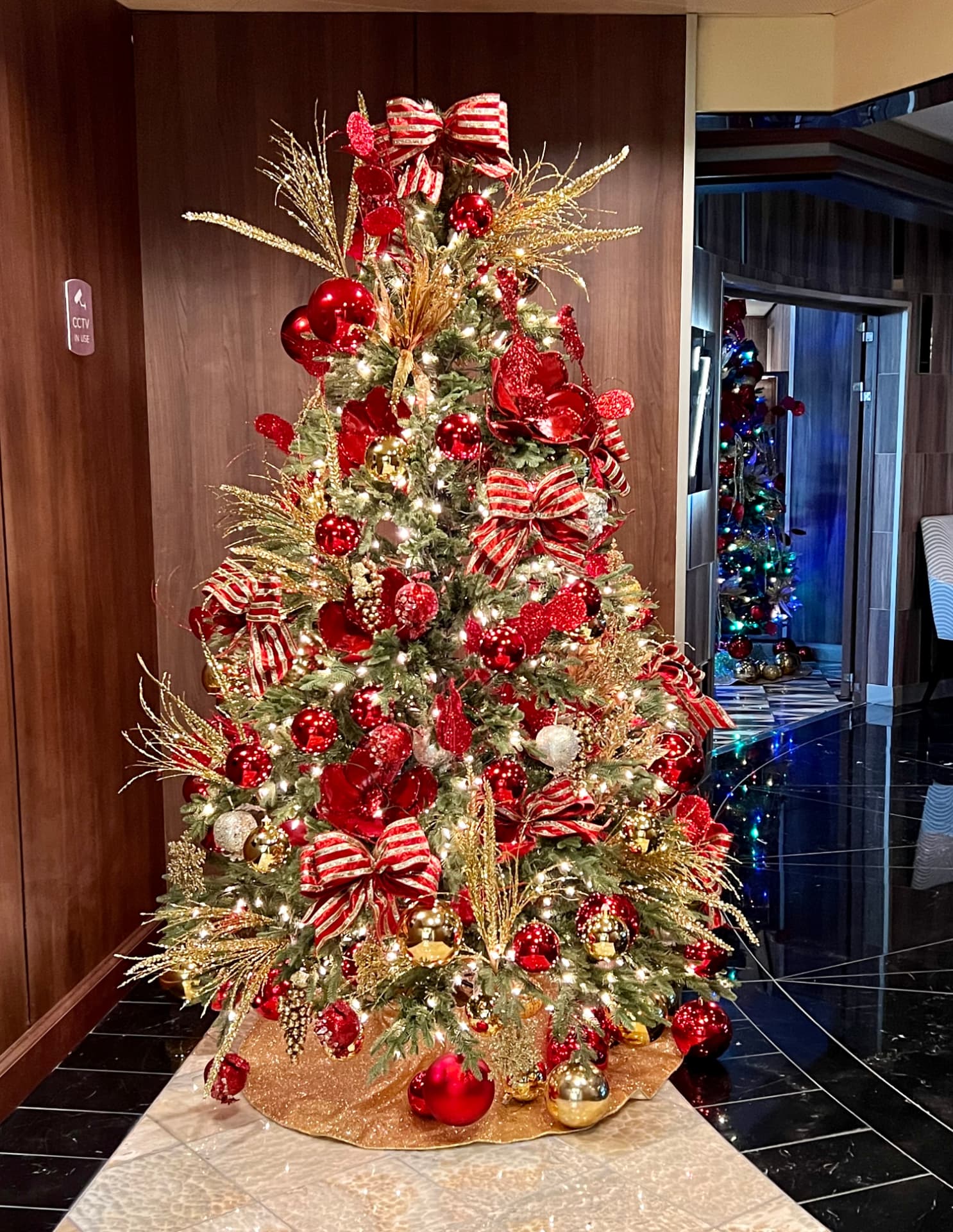 One of two Christmas trees decorating Seven Seas Mariner, photographed three days before Christmas.